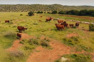  Bedroom Property for Sale in Fauresmith Rural Free State